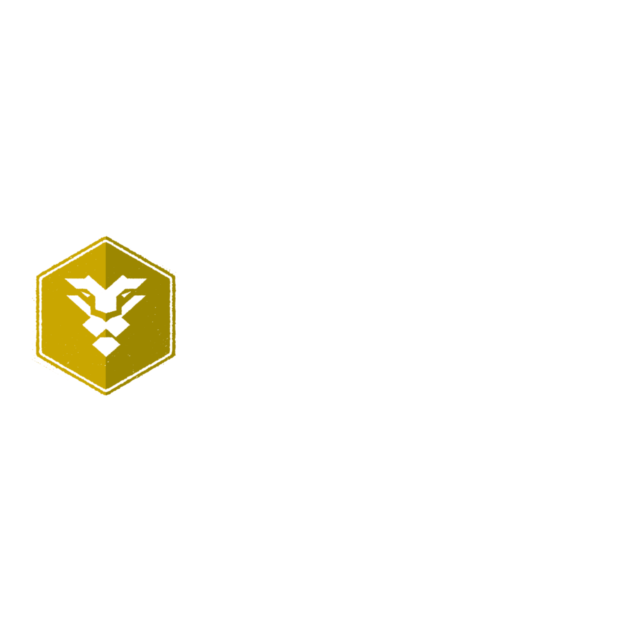 Instinct Fitness